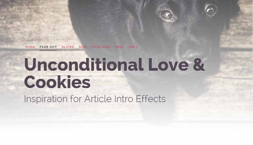 Article Intro Effects 