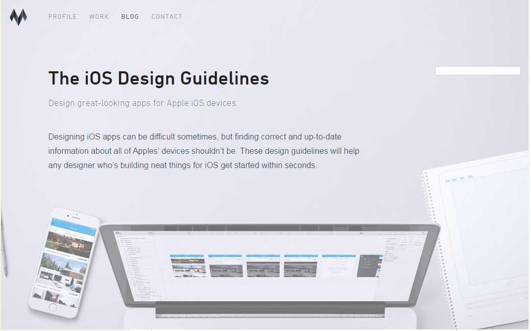 The iOS Design Guidelines 