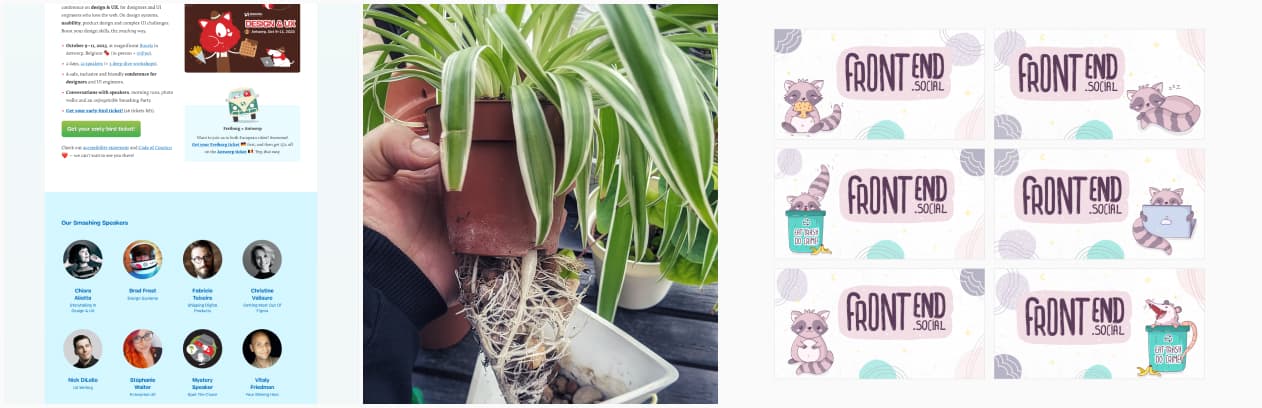 The smashing conference site, a plant with pyramid shaped roots out of the pot and some front end social thumbnails with cute raccoons
